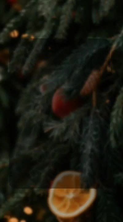 ��� ���� ����������� ����������?