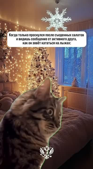 � ������� ����� �����, ������