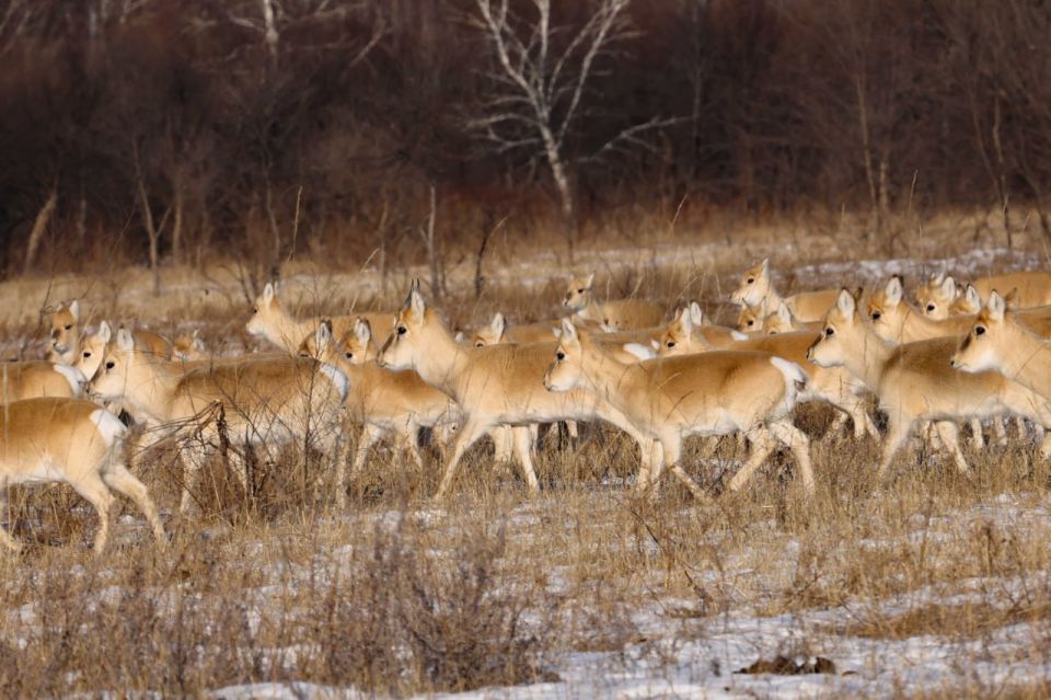 ������ ����, ����������� � ����� �������! ������� 4 ������ � �����������