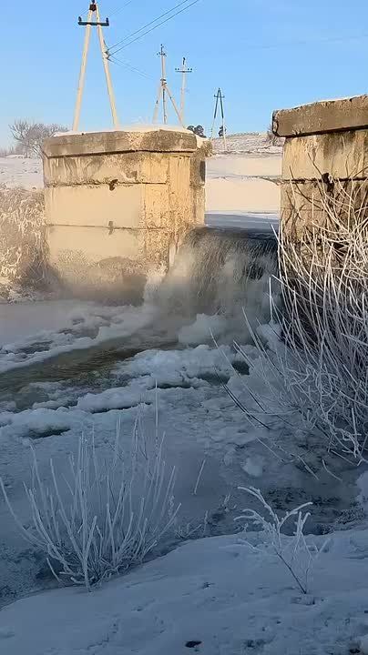 � ���� ������� ���� ����������� ������