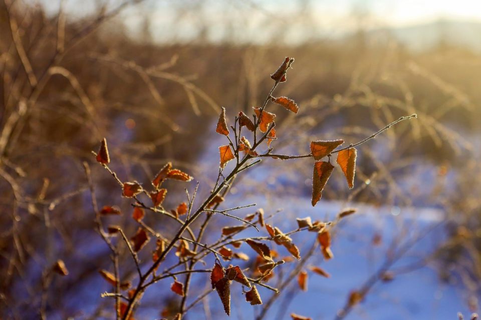 ������ ����, ����������� � ����� �������! ������� ������� � 8 ������