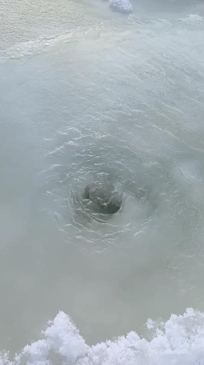 ��������� ��������. � ������ ����������, ���������� ������ "�����" ��������� �����