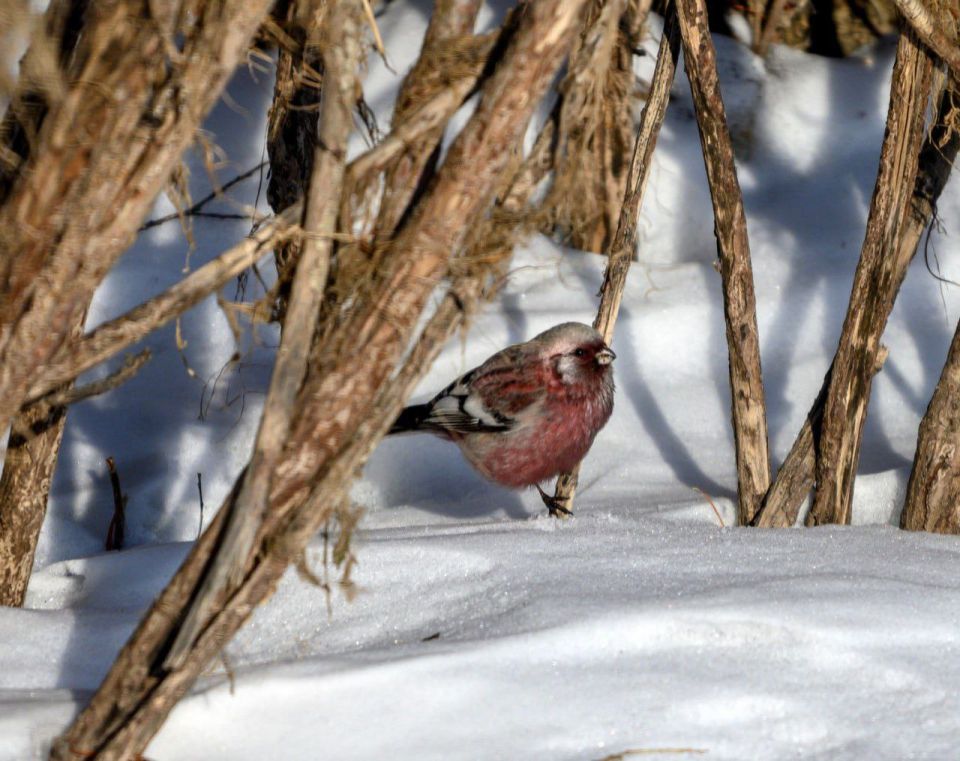 ������ ����� ����� � ����������?