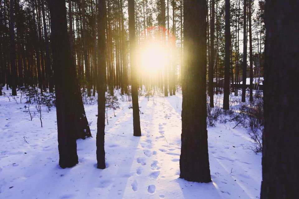 ������ ����, �����������!. ��� � �������� ������ ������� ������ � ���� ����! ����� ��� �������� ������ � ����������� ������ � ������? � ��, ������ �����! � ���, ������� ��� ��������� ���� �������� �������� @zabrtk | �� � MAX