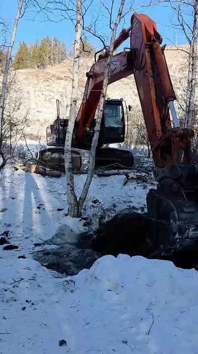 ��������������� ������ ��� �������������� ����������� � ������� ���������� ������������