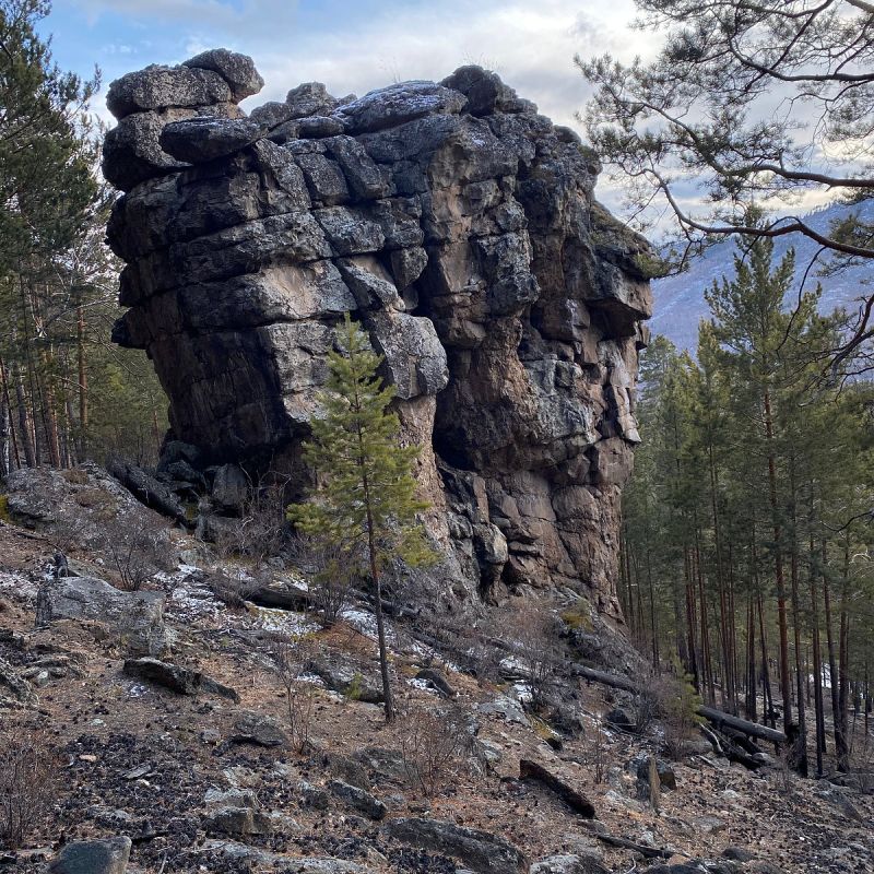 46 ��� �����, 14 ������ 1980 ����, �������� ���������� ������������, ����������� ����� (������) ���� �������� ���������� ������� ������������� ��������