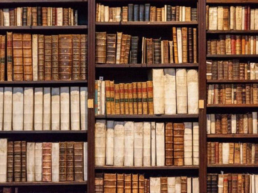 ������������ ������� � ����������� �������� � ��������� ���������� ���������