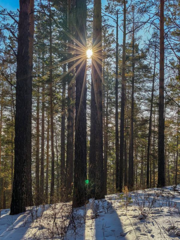 ������ ����, �����������!. ����� ������� ������� ������������ � �������� ����� ������������� ������ ���� ��������� �������� @zabrtk | �� � MAX