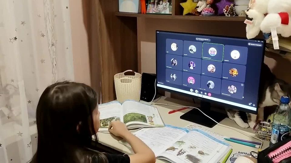 � ������ ���� ������������ ������-����� � ������� ����������� MAX