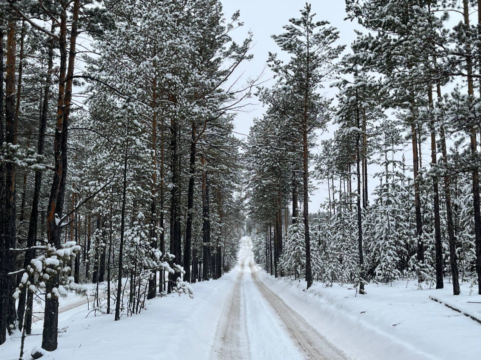 ������ ����, ���� � �������!