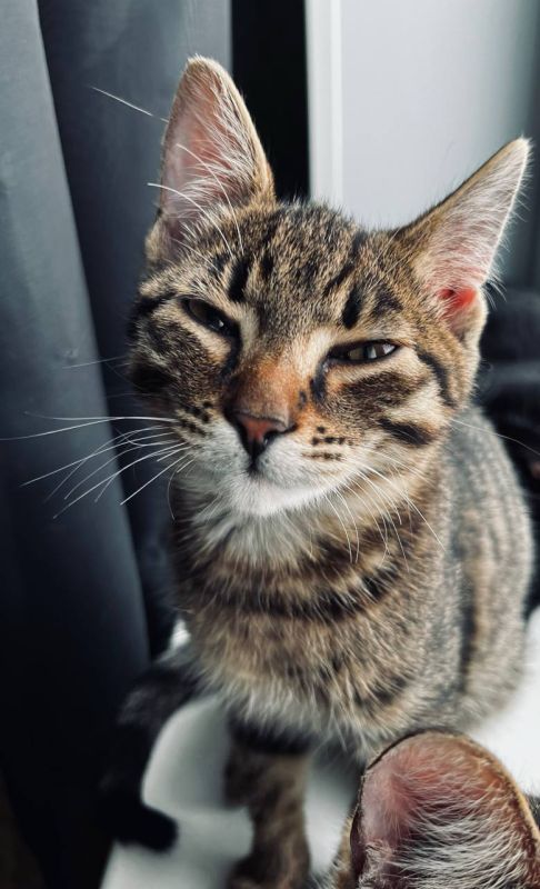 ������ ����, �����������. ����� ����� �� ������! ������� ������� �������������� ���� ��� ������ ���� @zabrtk | �� � MAX