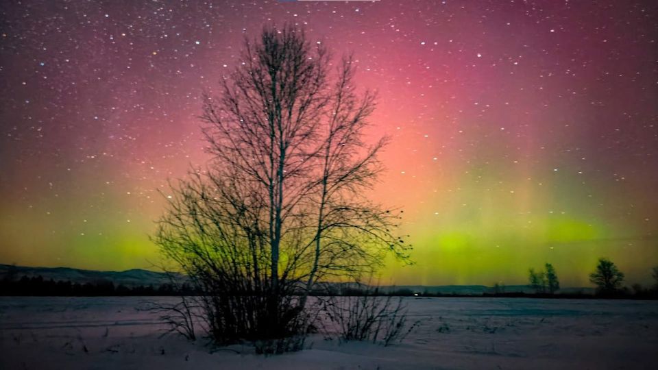 1234. �������� ������ ������� � ����������