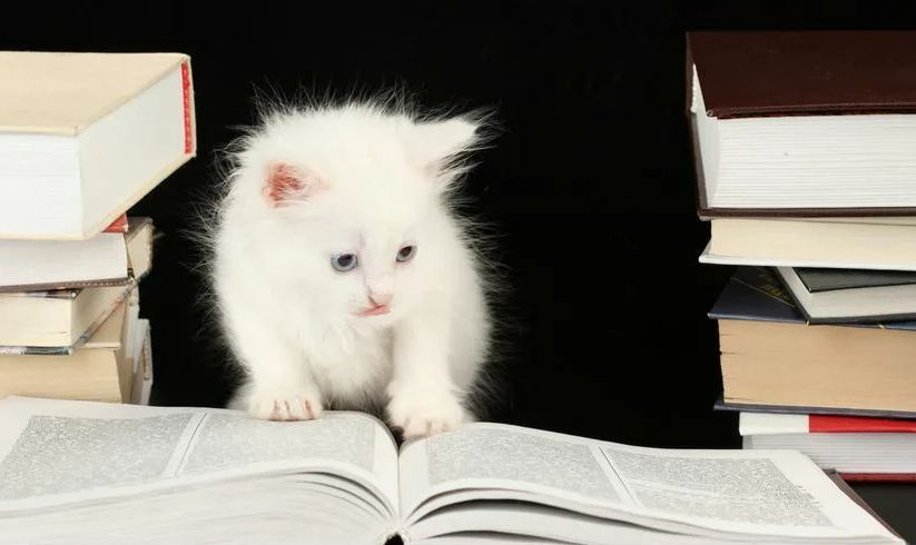 � ����� ��������� �� ��������� ������� ���� �� �������� ������