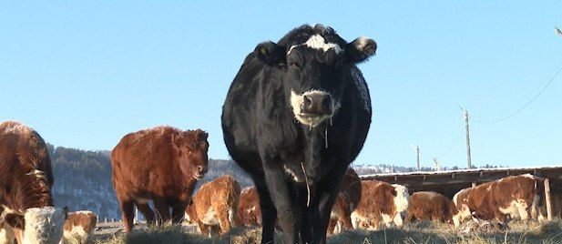 �������� �� ������ ������� ���������� ������� � ����� �� ����� �������