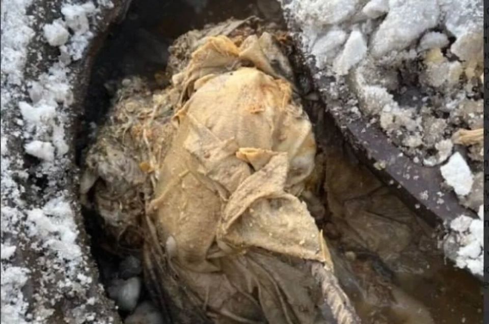 ����������� ����������� � ����������� ���� ��-�� ������