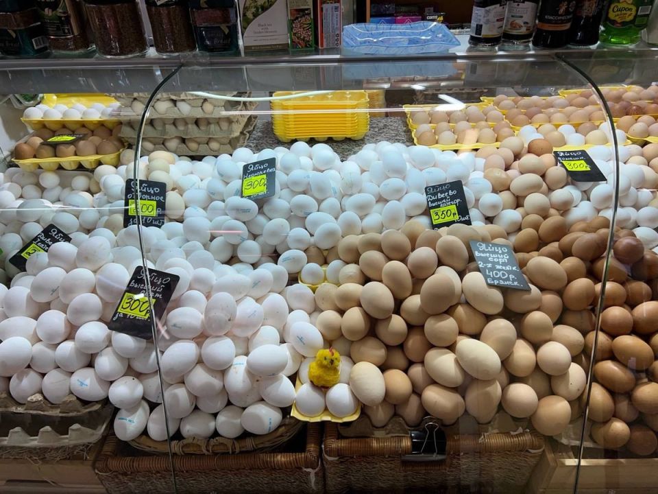 ���� �� ������� ��������: ��� ����� ���� ��� ���������?