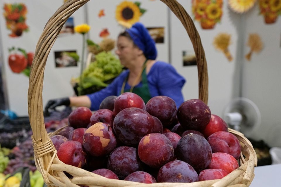 ����� ��������� � ����������� ������� ������� ��������� �������