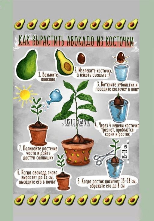 �������: ��� ����� ������� ��������� �����������