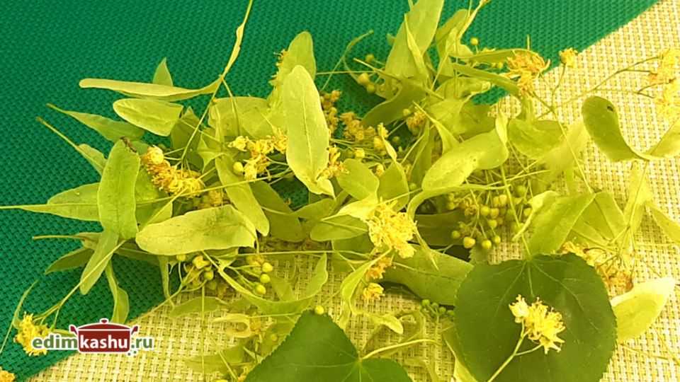 ������� ����� �������� �����: ����� � ��� ��������� �������������