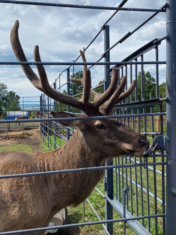 ���� �� ������� ����� � ������� � � ����������� �������� �������� � 1 �������