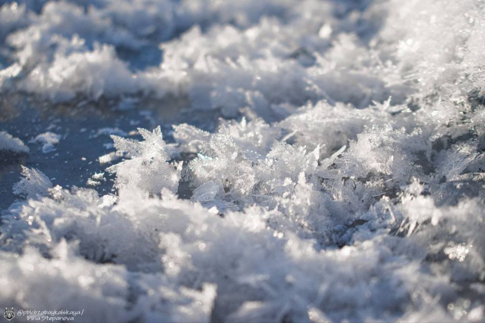 ������ ���������. ����� ��� ���� ����� ���������� ����: ��-����� �������� ������� @zabrtk | �� � MAX