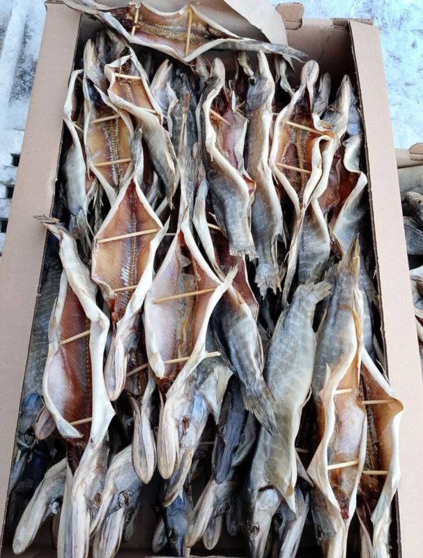 ������ ������� ����