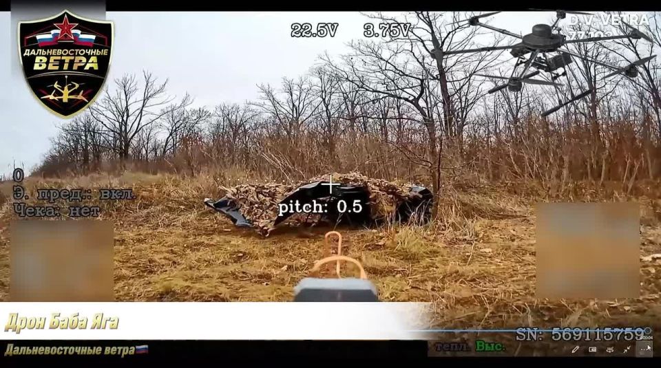 ��������� �������: �����-����������� ��������������� ����� ����������� "������" ���������� ��������� ����������� �����: �������� ��� ����� ���� � ��������� ��������, ��� � ������������� �������, ������ � ������ ���������