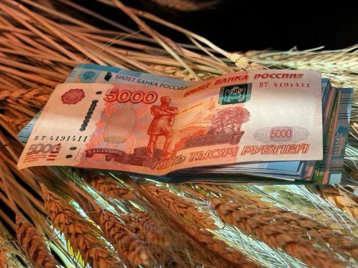 ���������� ���� �������: ��� ��������� �� 2026 ���?