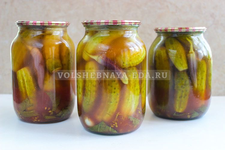 ������������ ������ � �������� ������ � ������ ������ �� ����