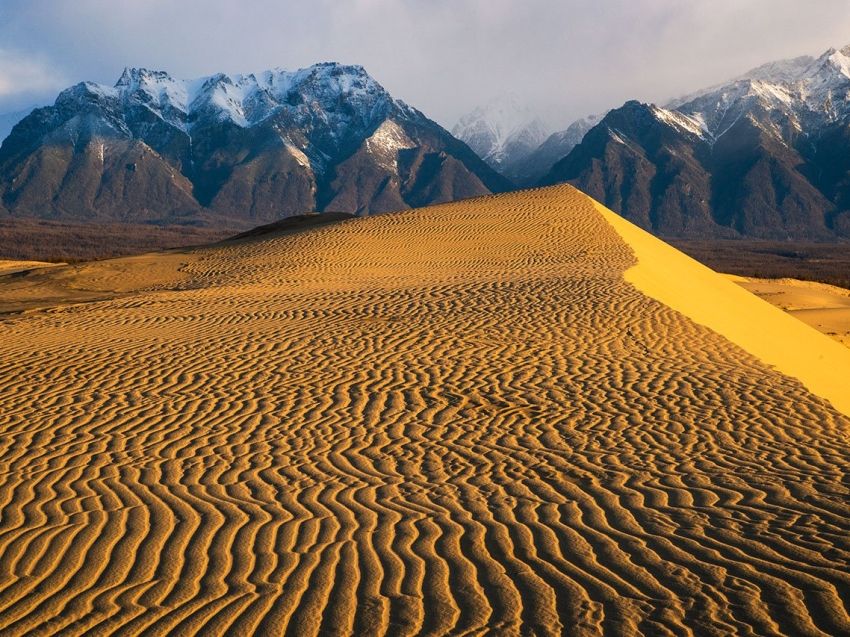 ������� �����: ������� ��������� �������