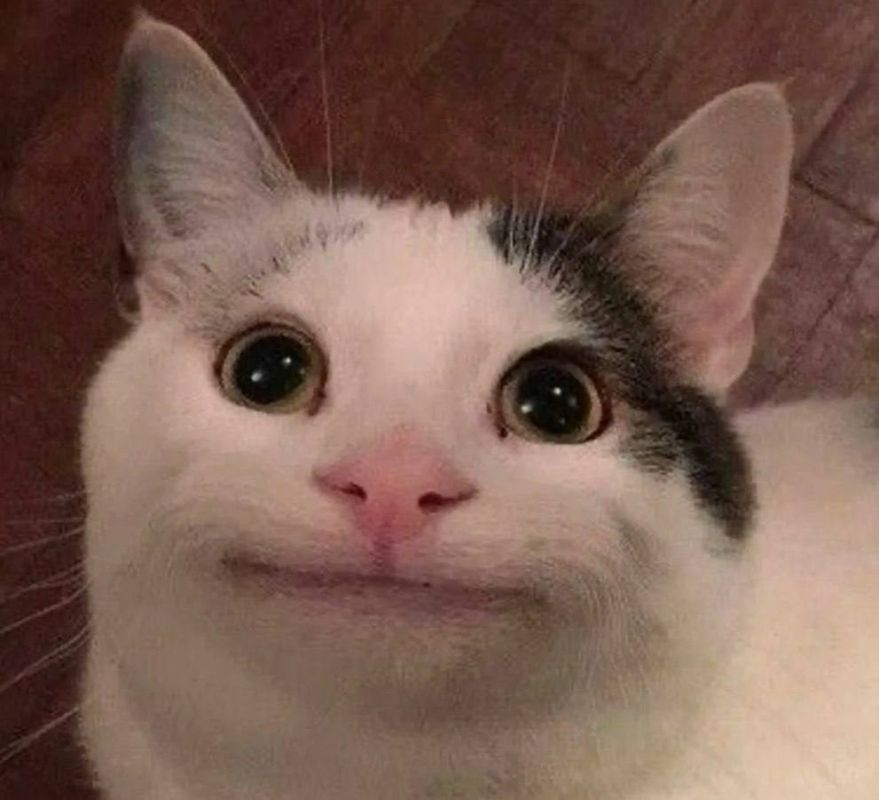 �� ������ � ������������� ���� � ���� ��������� ����������� � ���!