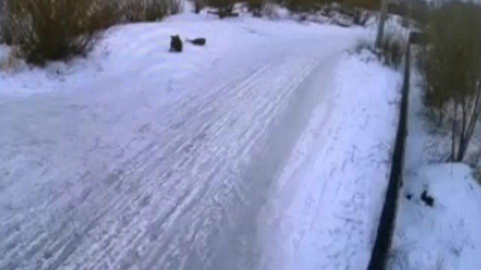 ���� 25 ������ � �. ����, �� ��. ������������, 27-������ �������� ���������� ������ �����, �� ������� ����� ���������� ������������� ����������, � ��������� ������������ ��������� �������� ����� �� ��� ���������