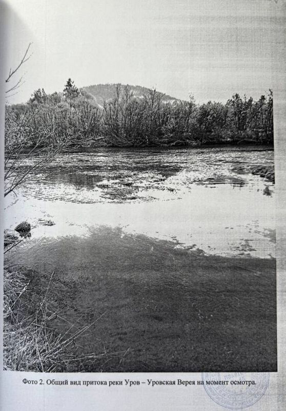 ���� ������� ���������-���������� ������, ��������� � ������ ������� � �������������� ����������� �����, ���������� �� ������ � ������� � �������� ����, �� � �������� � ����� ���������� ������������ ������