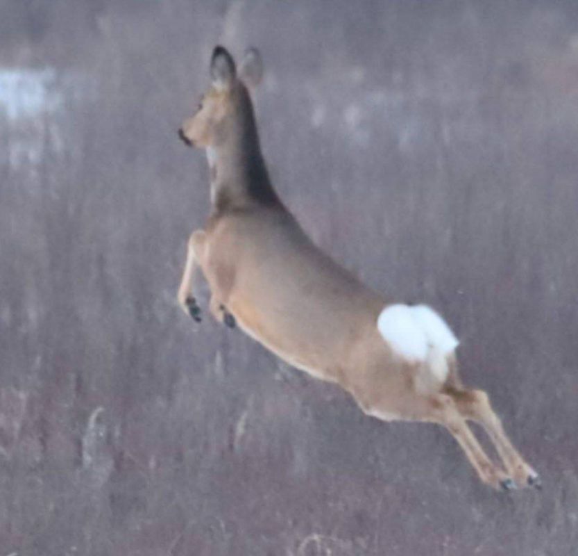 �� �������� ������ ����� � ��������