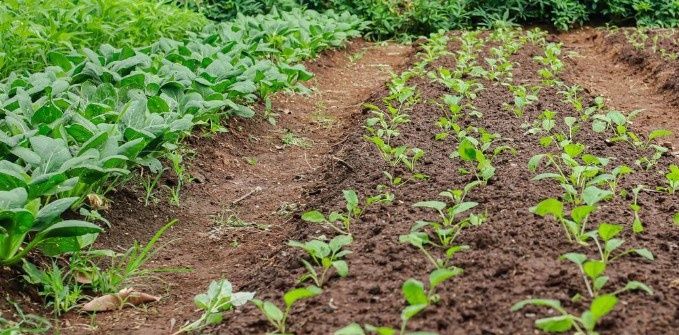 ��� ������ �������� ����� �������� ��� ������ � ��������