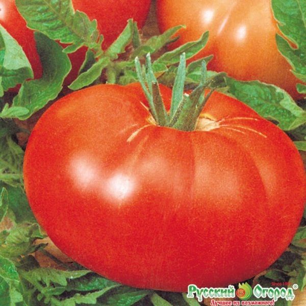 ����� ��������: �������� ����� ��� ������� ����������