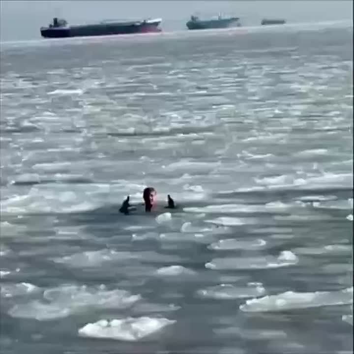 ���-�������� ��-��������