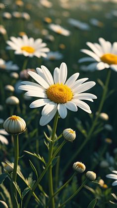 ������ ����, ������� ����������! �������� �� ��, ��� ����� �� ���������, �� �� �������� ����� ��� ������� ���� ����� ������, ����� ������� ������ ������