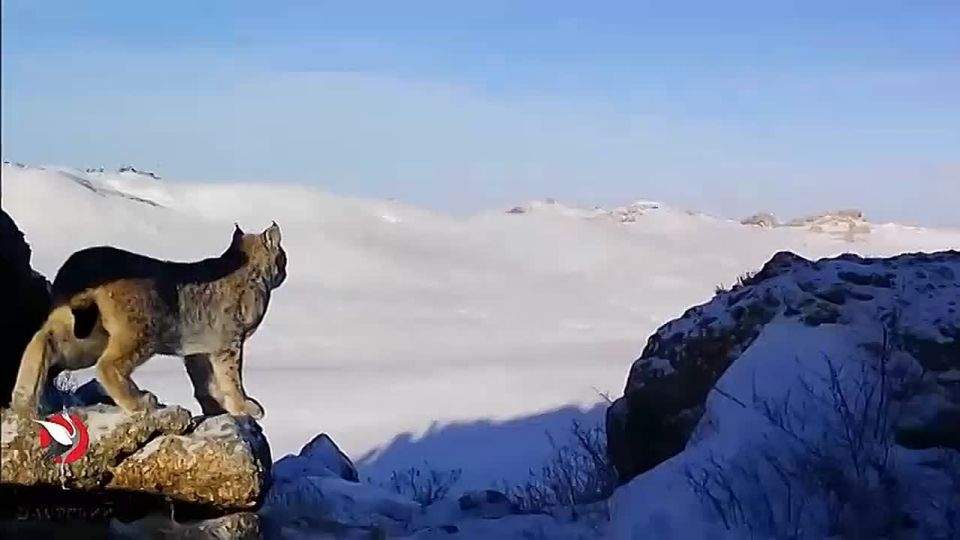 ������ ����, ����������� � ����� �������! ������� 28 ������ � �����