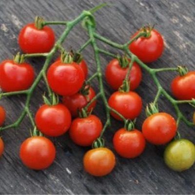 ����� �����������: ������������ ���� � �������� ��������� ������ ��� ����