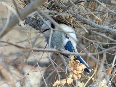 ������ ����, ����������! ������� � �������, 29 ������