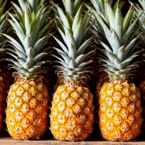 ���������������� ���������� ������ ���� ������� ���� ��������