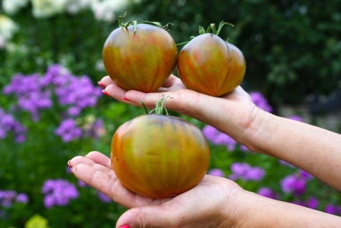 ����� ������� ���������� ������: ��������� ����� � �������� � ����� �����