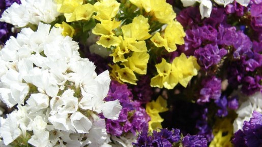 ������� � ��� ����: ������� �������� ����� � �����������