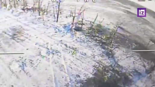 ���������� �� ������������ ����� ������������ ������������� � ����������� ������� ��������������� 11-� ��������� ����������� ��������-��������� ������� �� ������� ����������� ����� "�����"