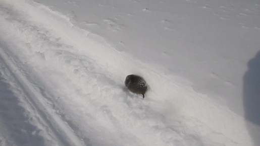 ���������� �� ���������� ������� ������ ���������� ���������