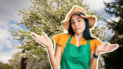 ������ ������� ��� ������ �����, ���� �������� ���� �����: ����������� ��������� ������