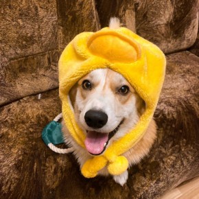 ������ ���������!. ��� � ��������� ������� ������ ������ ������� � ����� ����� ����� ������ ��� �������� ���� ���� � ������� � ����������: ���������� ������ ���� �� ��-������ �AALAV�/����� ���������� @zabrtk | �� � MAX