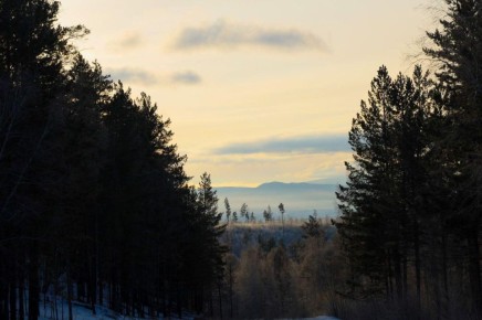 �������� ����, ������� ������� ������������