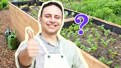 ��� ����� ����� ����� � �������� ����� ������ ����: ������ �� �� �������